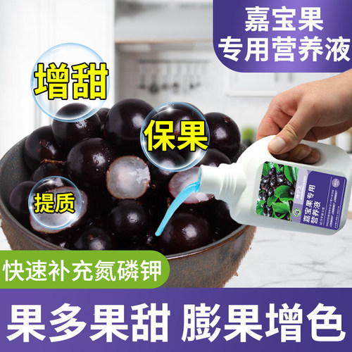 嘉宝果专用肥料营养液四季通用挂果增甜小葡萄嘉宝果专用水溶肥料
