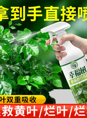免稀释幸福树专用肥料营养液室内绿植盆栽植物花肥通用治掉叶黄叶