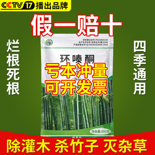 环嗪酮除草烂根剂除大木树杀竹子杂草正品开荒枯树腐根枯死专用药