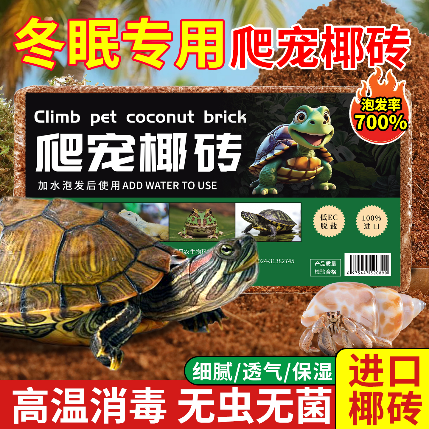 爬宠椰土乌龟寄居蟹椰砖蜗牛过冬