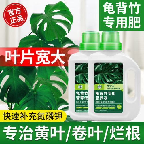 坤宁王龟背竹专用营养液枝叶茂盛