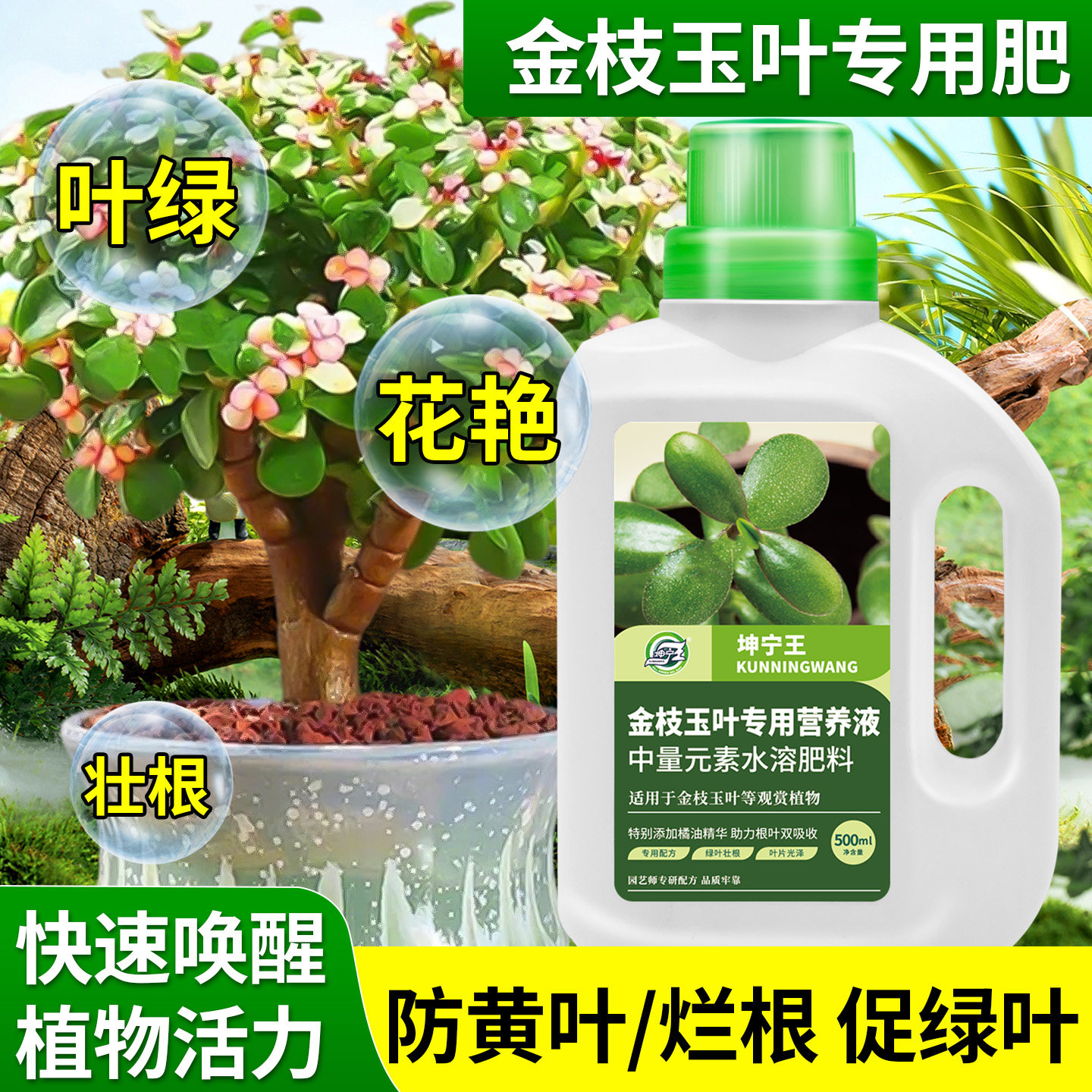 金枝玉叶专用营养液防掉叶雅乐之舞盆栽专用肥料防烂根壮根上色快,鲜花速递/花卉仿真/绿植园艺,家庭园艺肥料,淘宝优惠券,粉丝福利购,淘宝优惠卷