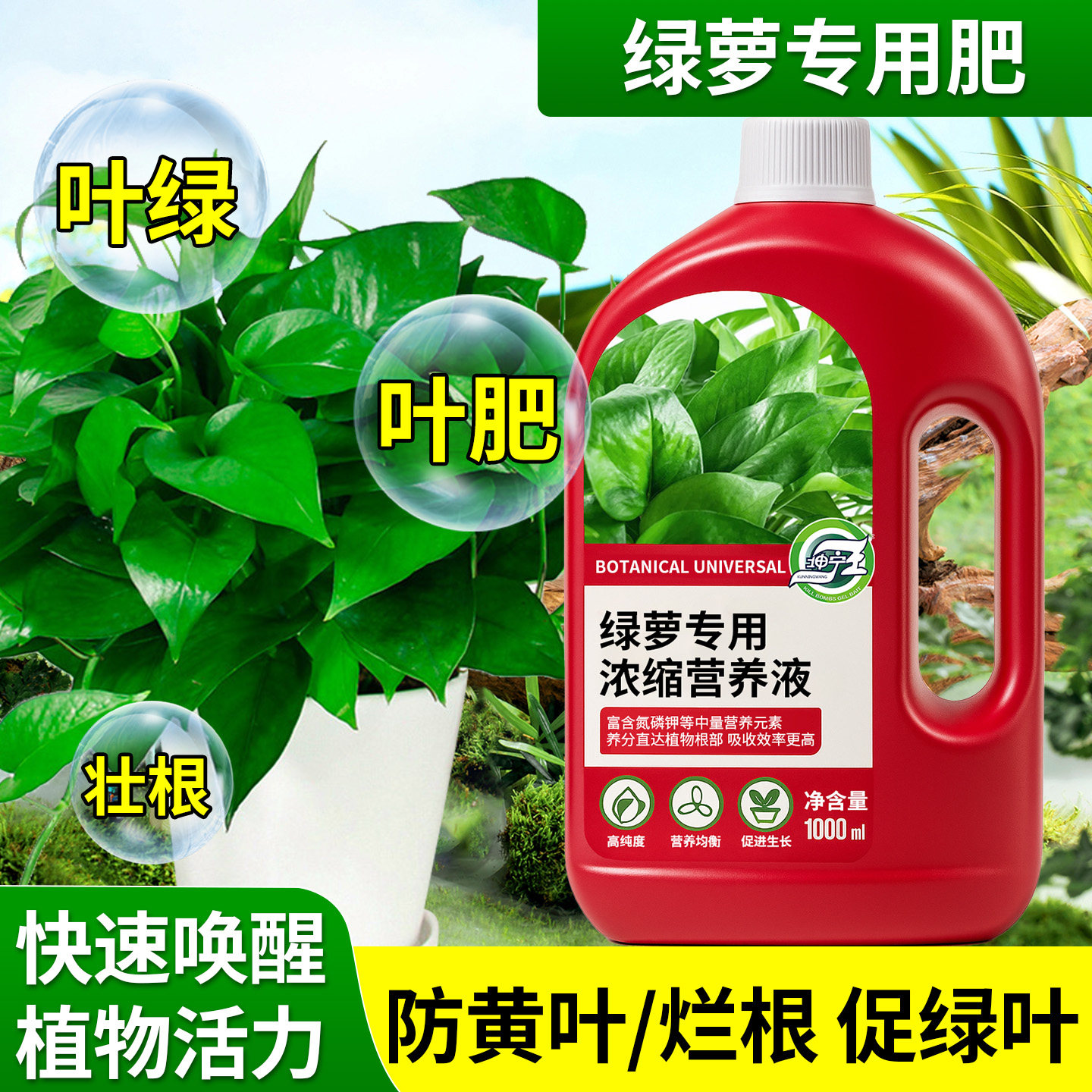 绿萝专用植物营养液盆栽土培水培叶面肥养花通用防黄叶烂根促绿叶,鲜花速递/花卉仿真/绿植园艺,家庭园艺肥料,淘宝优惠券,粉丝福利购,淘宝优惠卷