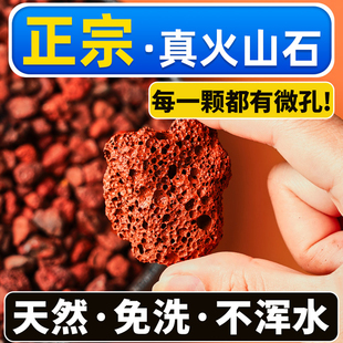 火山石鱼缸专用颗粒天然滤材鱼缸造景底砂古法养鱼材料大块过滤石