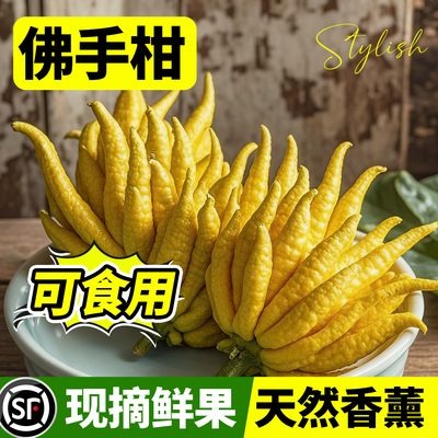 佛手柑水培植物鲜果桌面闻香观赏摆件室内水养绿植新鲜超级可食用