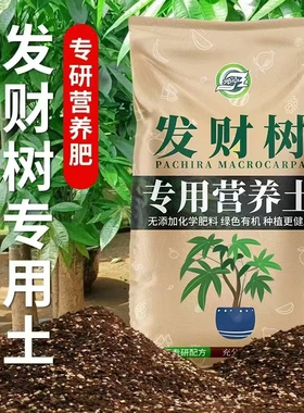 发财树专用土营养土花土发财树肥料专用肥土家用盆栽绿植种植土壤