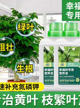 幸福树专用肥料营养液落叶掉叶子盆栽植物室内绿植养花氮磷钾花肥