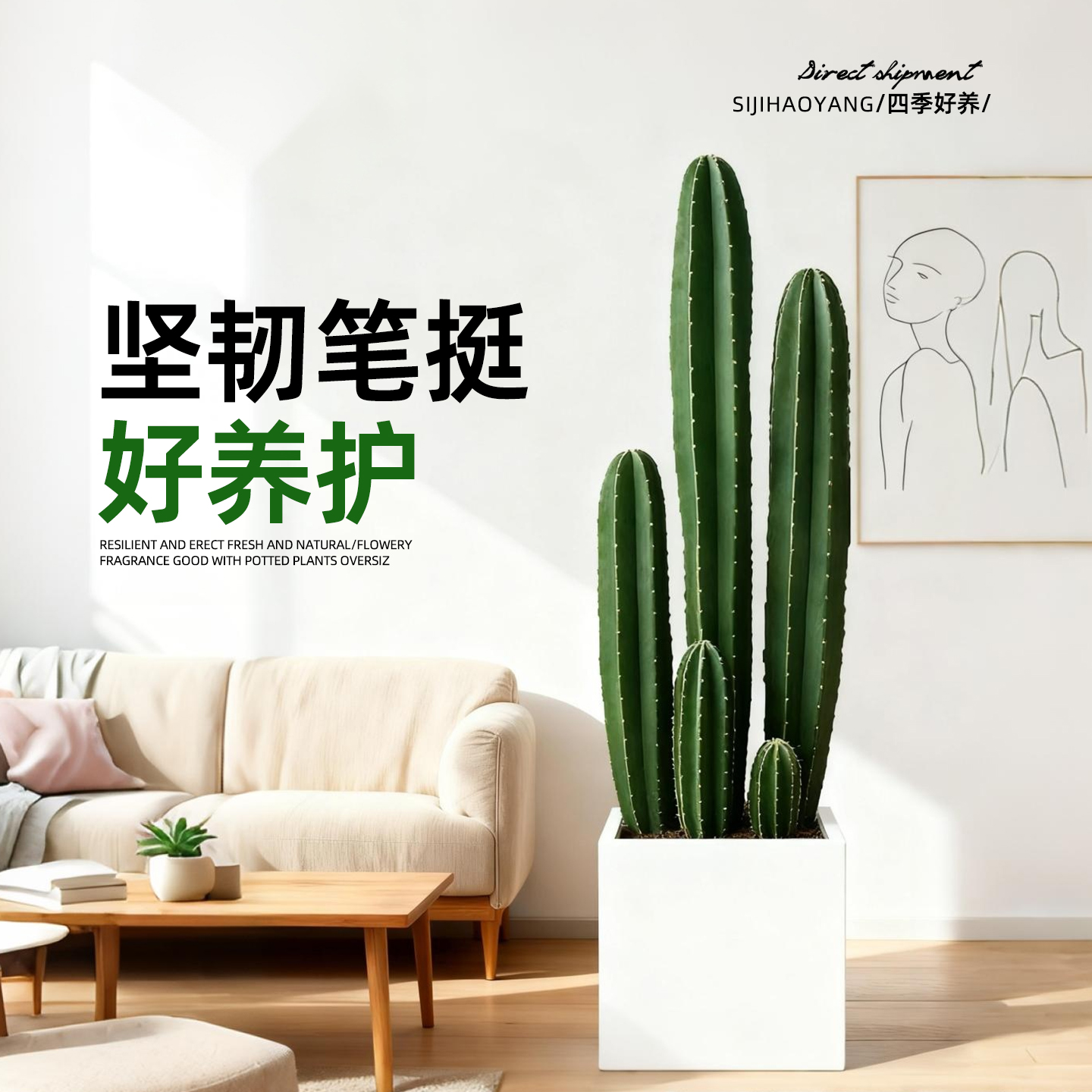 量天尺仙人柱盆栽室内盆栽植物客厅大型绿植北欧办公室仙人掌多肉