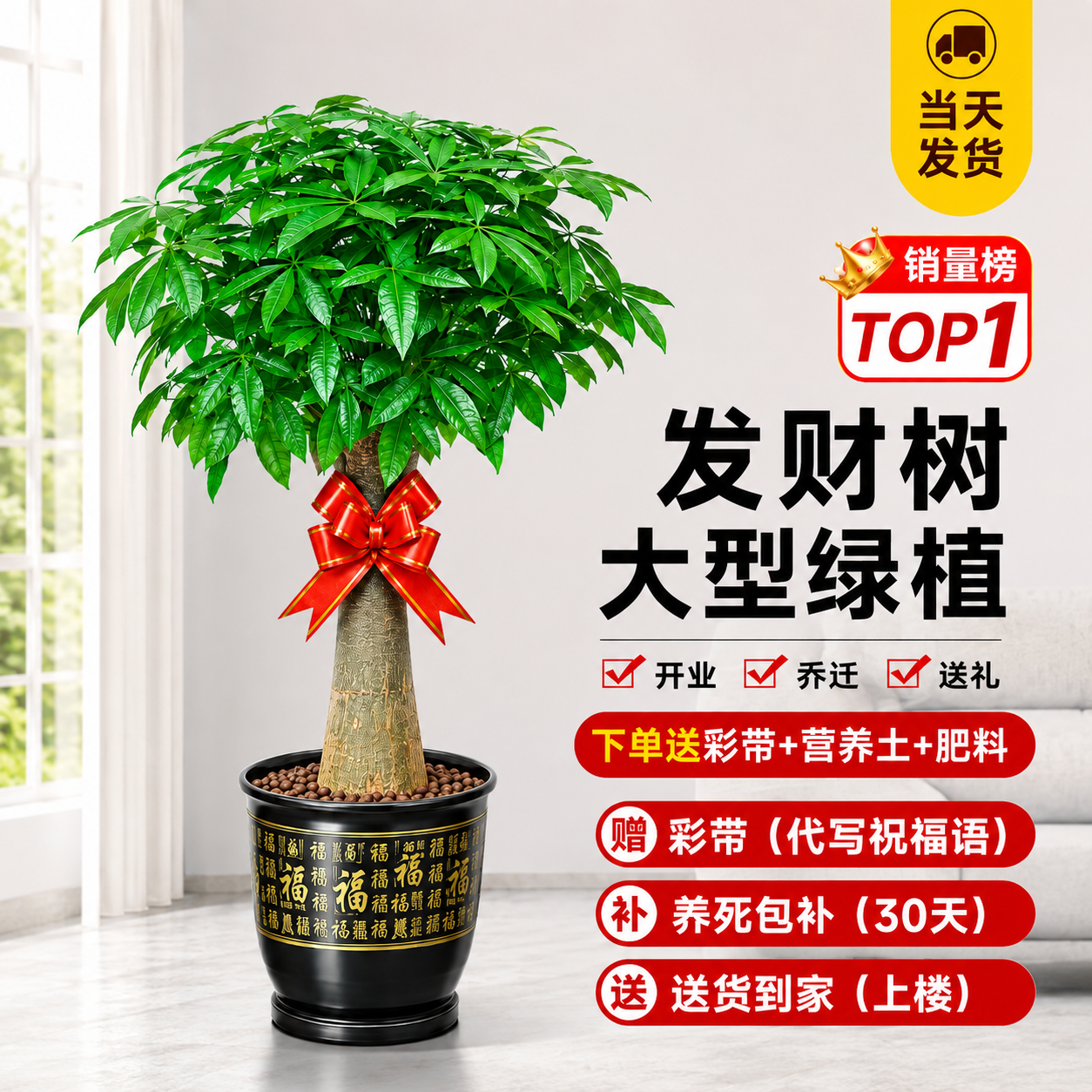 发财树盆栽大棵室内摆客厅大型步步高招财树绿植物办公室2026新款