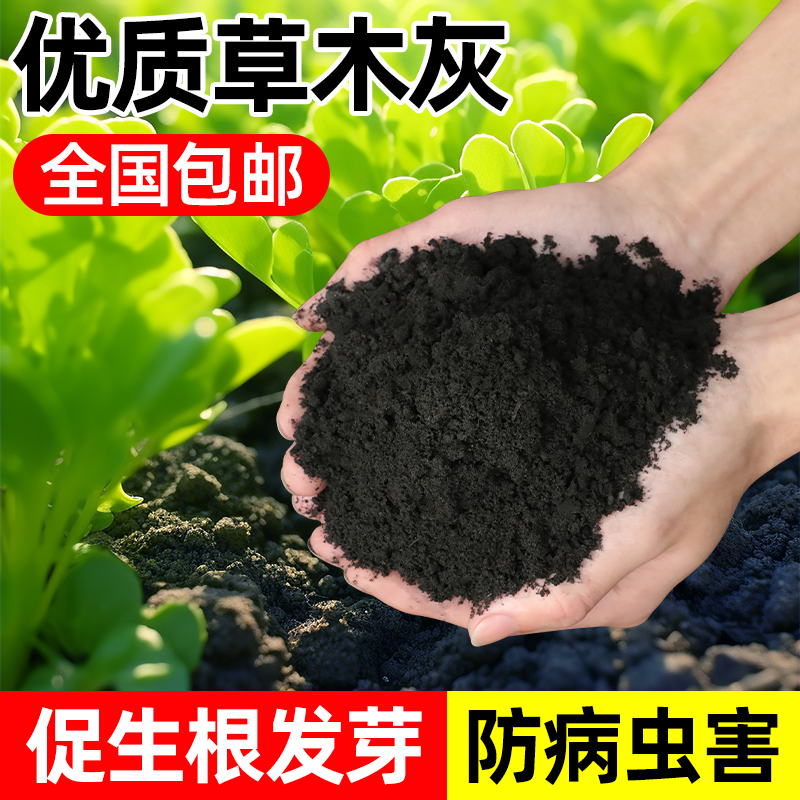 种菜用的草木灰灭菌杀虫