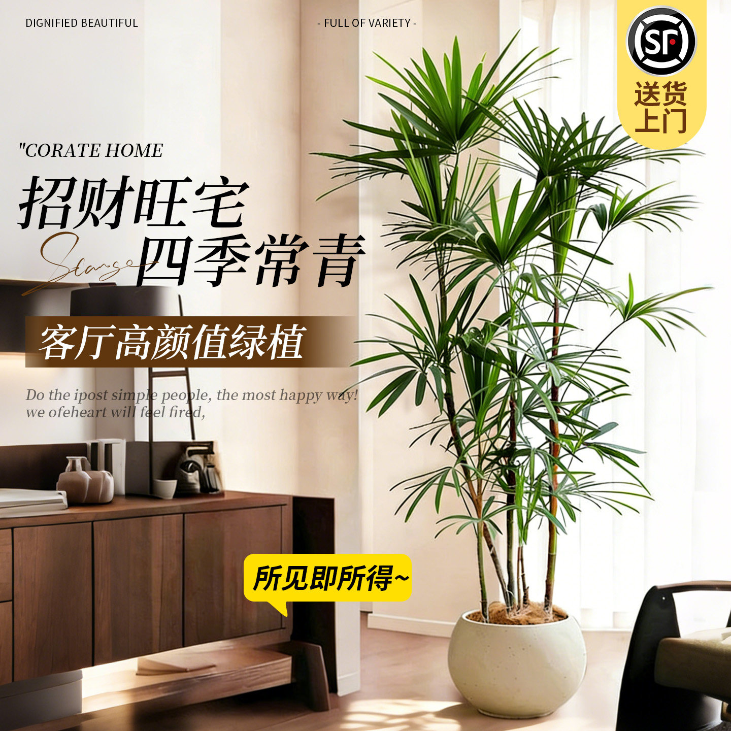 金山棕竹盆栽高级感大型绿植客厅室内外植物旺宅盆景四季好养耐寒