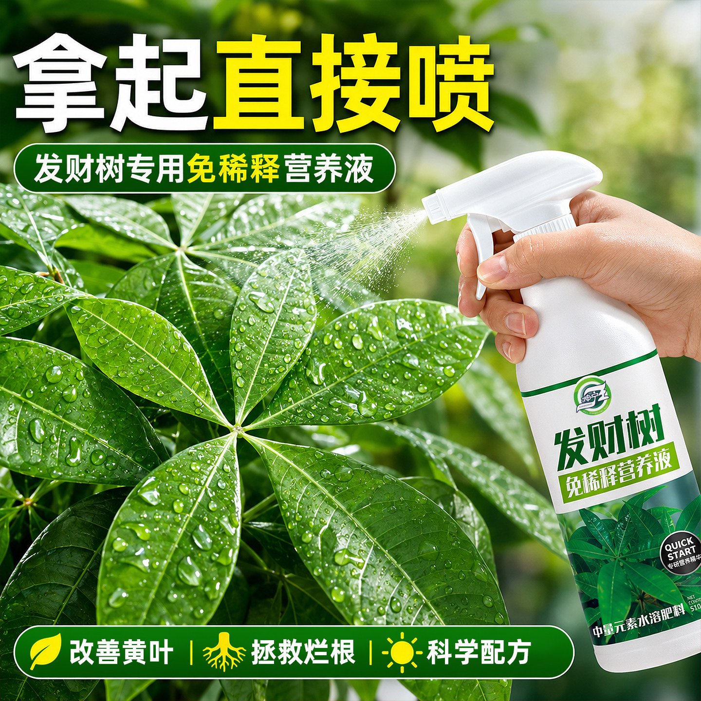 免稀释发财树专用营养液花肥料室内盆栽植物金钱树花卉绿植喷施肥