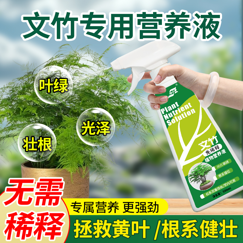 免稀释文竹专用肥料家用盆栽营养液植物液体肥室内养花绿植通用型