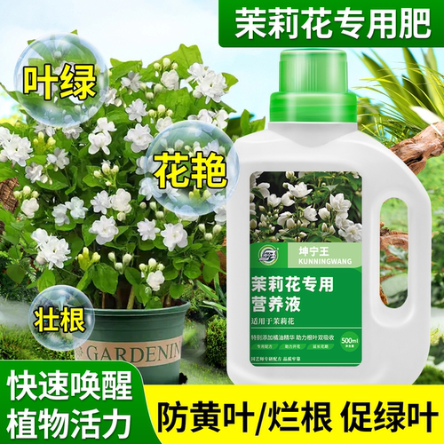 茉莉花专用营养液促花促长酸性