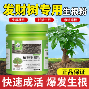 发财树专用生根粉植物通用快速树木移栽强力植物生根粉官方旗舰店