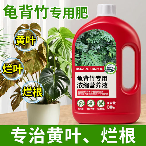 龟背竹专用浓缩营养液治黄烂根
