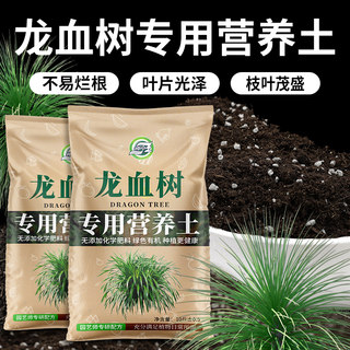 龙血树专用土通用客厅绿植有机土壤龙血树专用肥料土质疏松含菌少