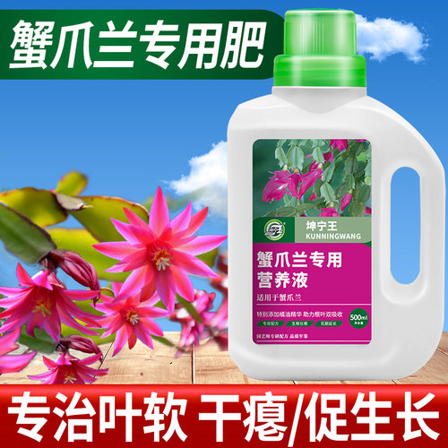 坤宁王蟹爪兰专用营养促进开花