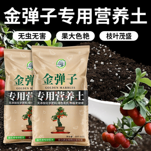 金弹子专用土盆景绿植木营养土丁香柿有机肥料果红防掉叶盆栽土壤