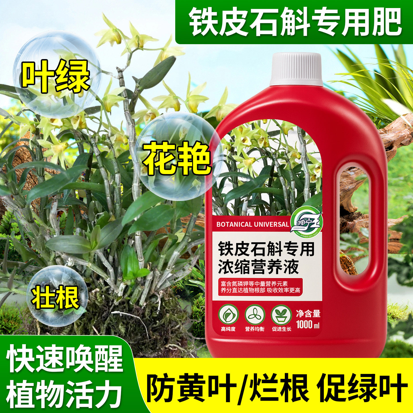 铁皮石斛专用植物营养液防黄叶催花壮苗催发新芽霍山金钗石斛肥料,鲜花速递/花卉仿真/绿植园艺,家庭园艺肥料,淘宝优惠券,粉丝福利购,淘宝优惠卷