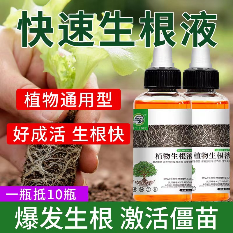 坤宁王植物快速生根液成活率高