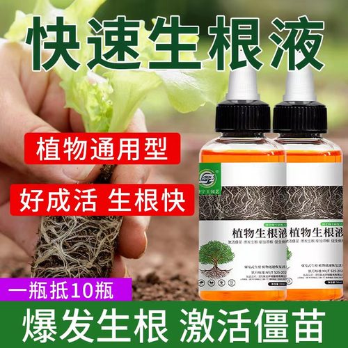坤宁王植物快速生根液成活率高