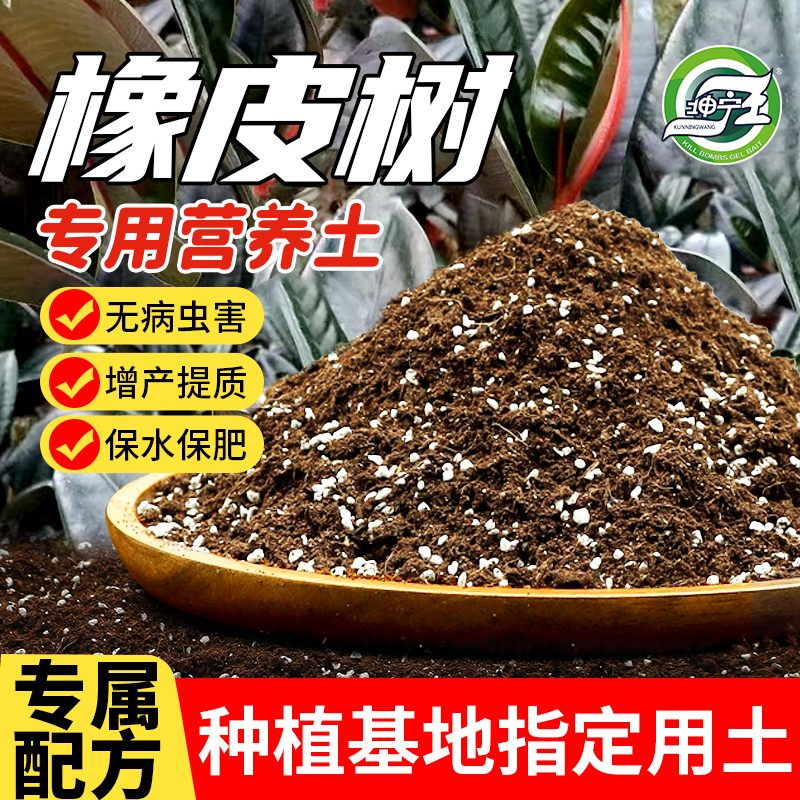 橡皮树专用盆栽土黑金刚橡皮树营养土花土养花通用泥土种植土肥料