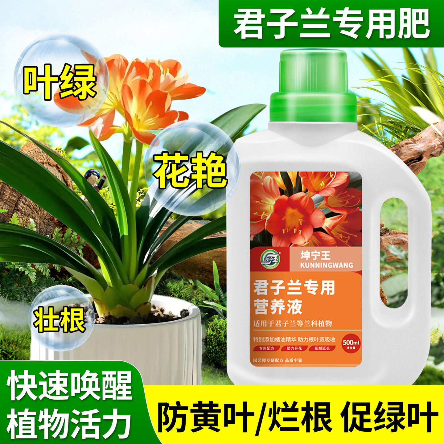 君子兰专用植物营养液水溶肥料家庭园艺兰科花卉盆栽促开花催花,鲜花速递/花卉仿真/绿植园艺,家庭园艺肥料,淘宝优惠券,粉丝福利购,淘宝优惠卷