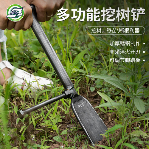 坤宁王挖树铲洛阳铲铁锹锰钢挖坑楸挖沟洞起苗树根挖土专用锹挖笋