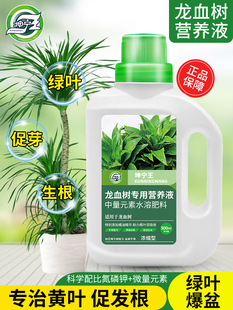 龙血树龙须树专用肥料营养液盆栽植物室内绿植养花肥通用氮磷钾肥