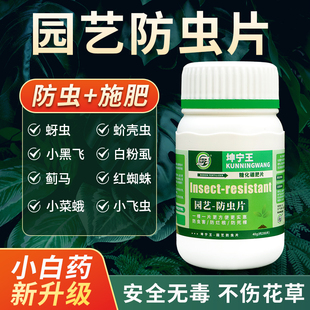 蔬菜除害虫养花卉土壤驱虫片 园艺防虫片家庭植物盆栽防虫颗粒月季