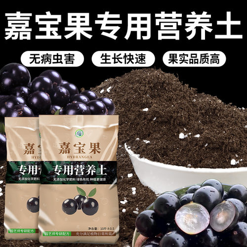 嘉宝果专用营养土提升果实品质
