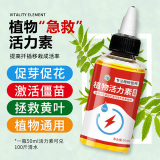 坤宁王植物活力素浓缩营养液养花通用促生长盆栽花卉绿植花卉专用