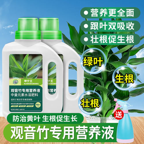 观音竹营养液水培肥料