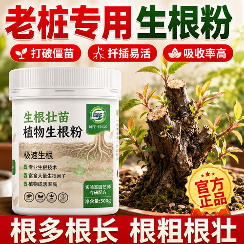 老桩生根粉植物通用生根剂壮苗剂