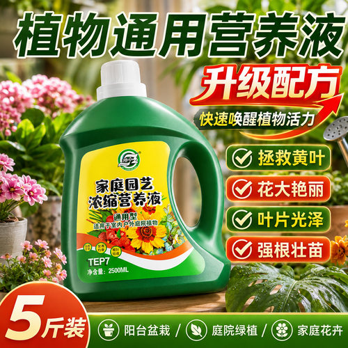 植物发财树富贵竹绿萝营养液