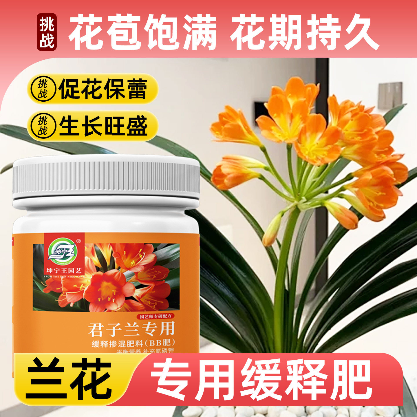 家用君子兰专用肥料促开花营养液复合肥花肥肥料通用养花缓释肥,鲜花速递/花卉仿真/绿植园艺,家庭园艺肥料,淘宝优惠券,粉丝福利购,淘宝优惠卷