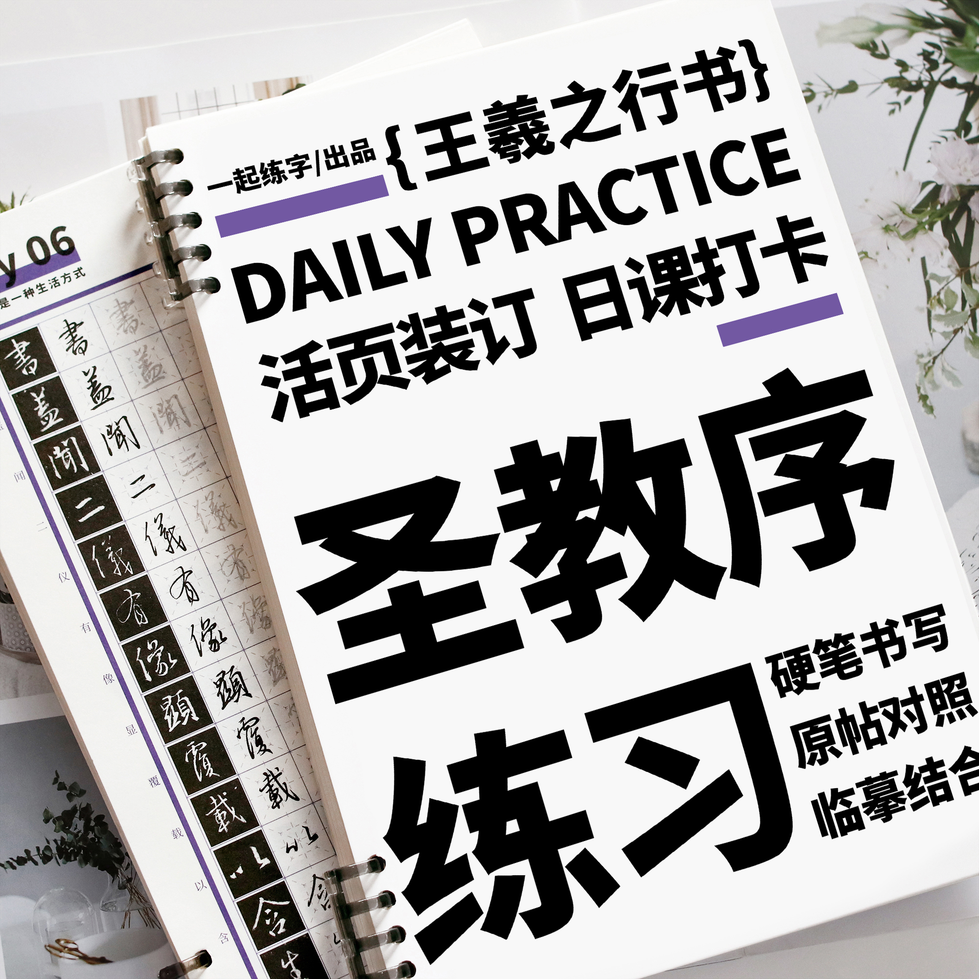 一起练字圣教序字帖硬笔成人练字