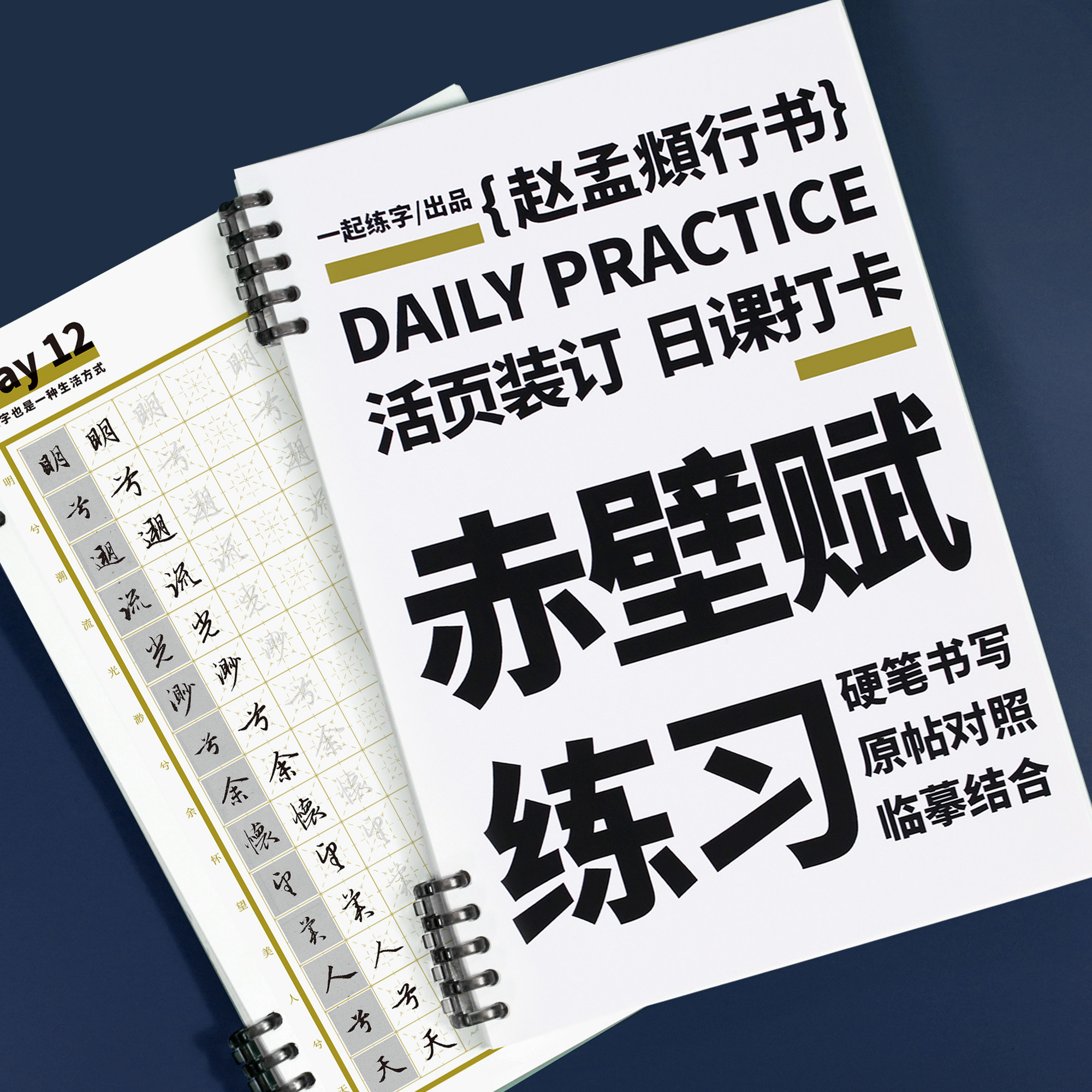 一起练字赵孟頫行书赤壁赋字帖成人初学者临摹古帖原帖硬笔书法练习纸活页日课纸大学生便携入门每日一页练字帖,书籍/杂志/报纸,练字本/练字板,淘宝优惠券,粉丝福利购,淘宝优惠卷