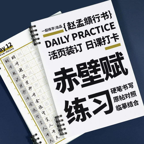 一起练字赵孟頫行书临摹必备