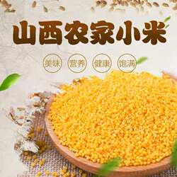 山西太行山武乡农家黄小米新米秋收新米5斤装小黄米杂粮煮粥