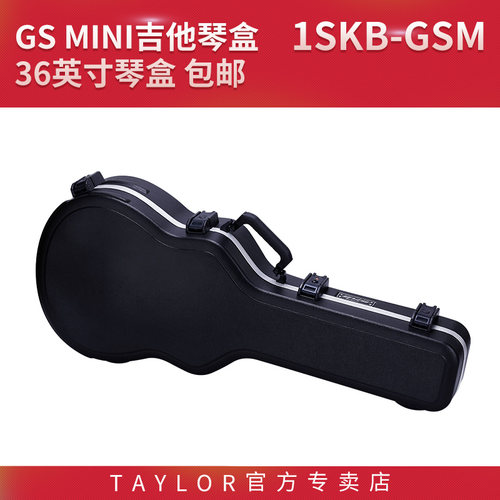 Taylor1SKB-GSMGSMINI吉他琴盒