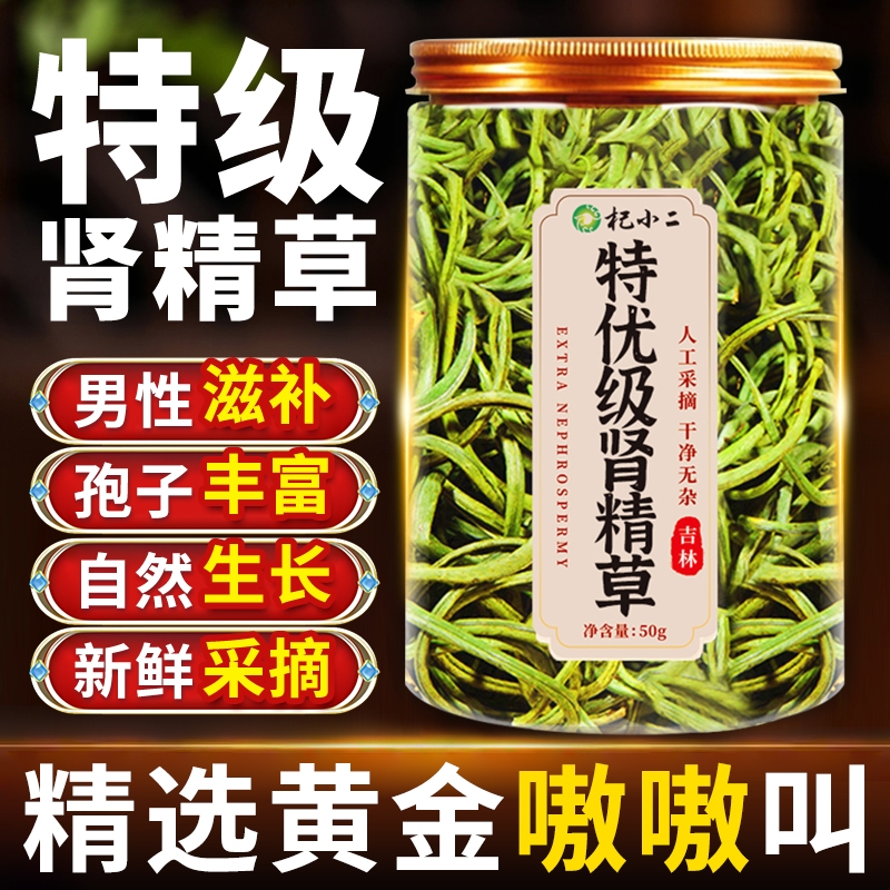 肾精草长白山小叶肾精茶