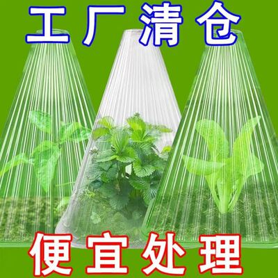 育苗保护罩方形透明钟罩菜苗幼苗防冻罩秧菜园种菜保温罩大号