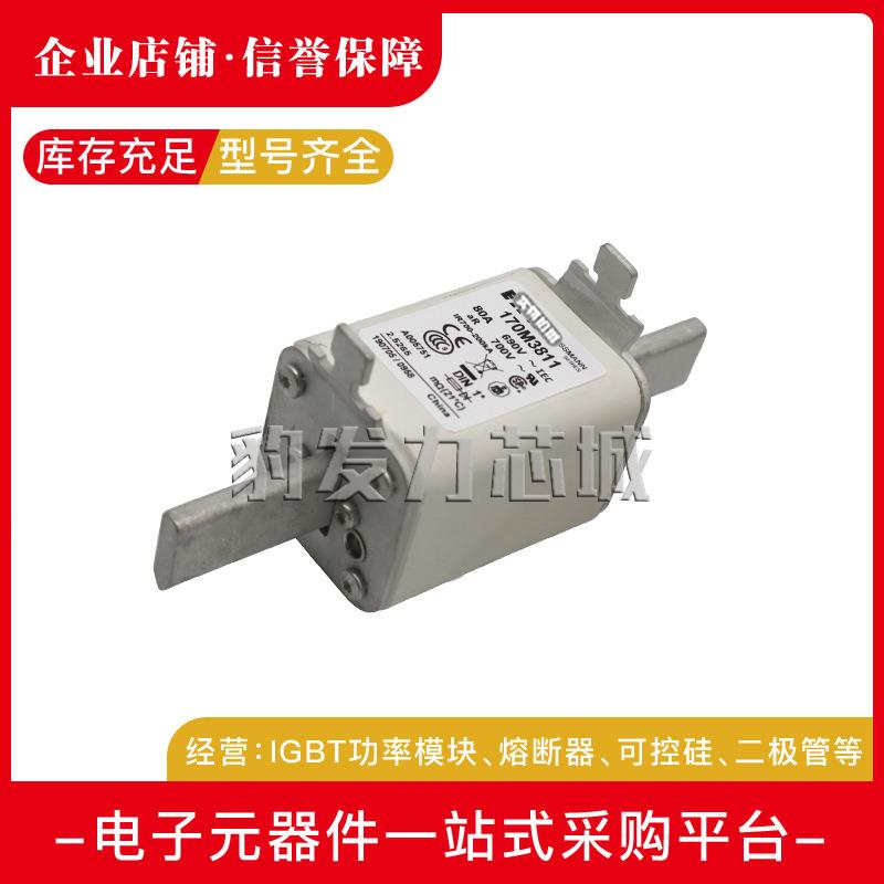 170M3808D/3809D/4863D-4867D/5814D/5820D/5816D/5817D熔断器