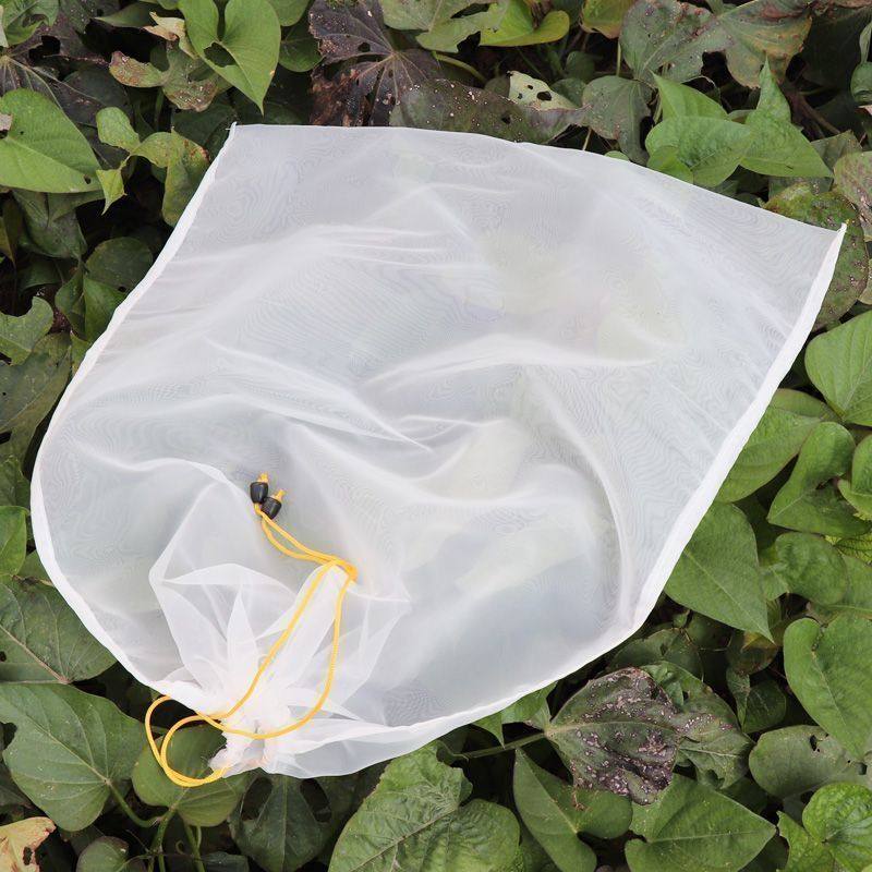 蜂蜜过滤网150目尼龙网纱精细过滤杂质网袋压蜜机取蜜专用方形网,畜牧/养殖物资,摇蜜机,淘宝优惠券,粉丝福利购,淘宝优惠卷