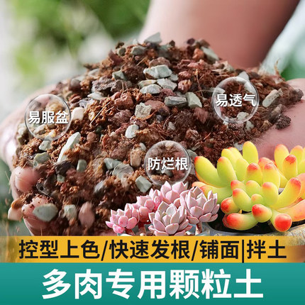 颗粒土多肉营养土专用土壤种植土泥炭进口叶插铺面石纯颗粒肥花土