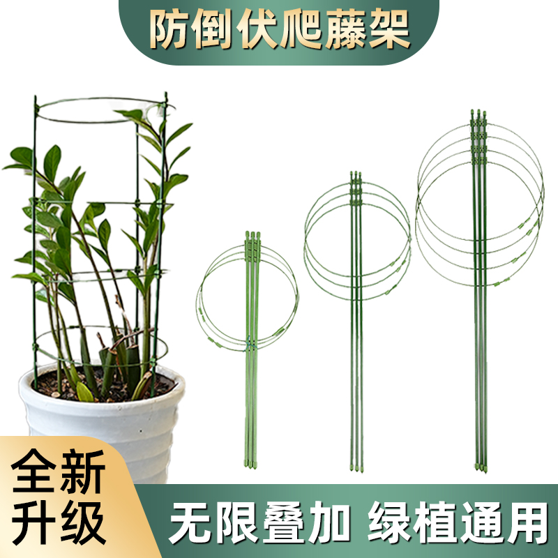 爬藤花架园艺支柱架阳台绿萝月季铁线莲藤本植物攀爬蟹爪兰支撑杆