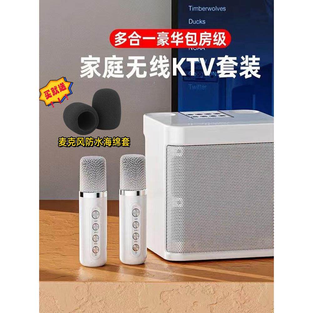 多功能无线蓝牙卡拉ok音频双麦克风混响户外家庭聚会专业免费麦克