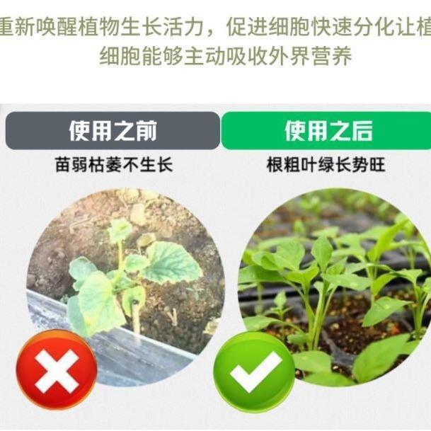 植物速救丸盆栽花卉通用型解决植物黄叶光杆果蔬绿植家庭